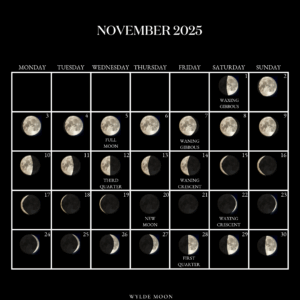 Lunar Calendar November 2025