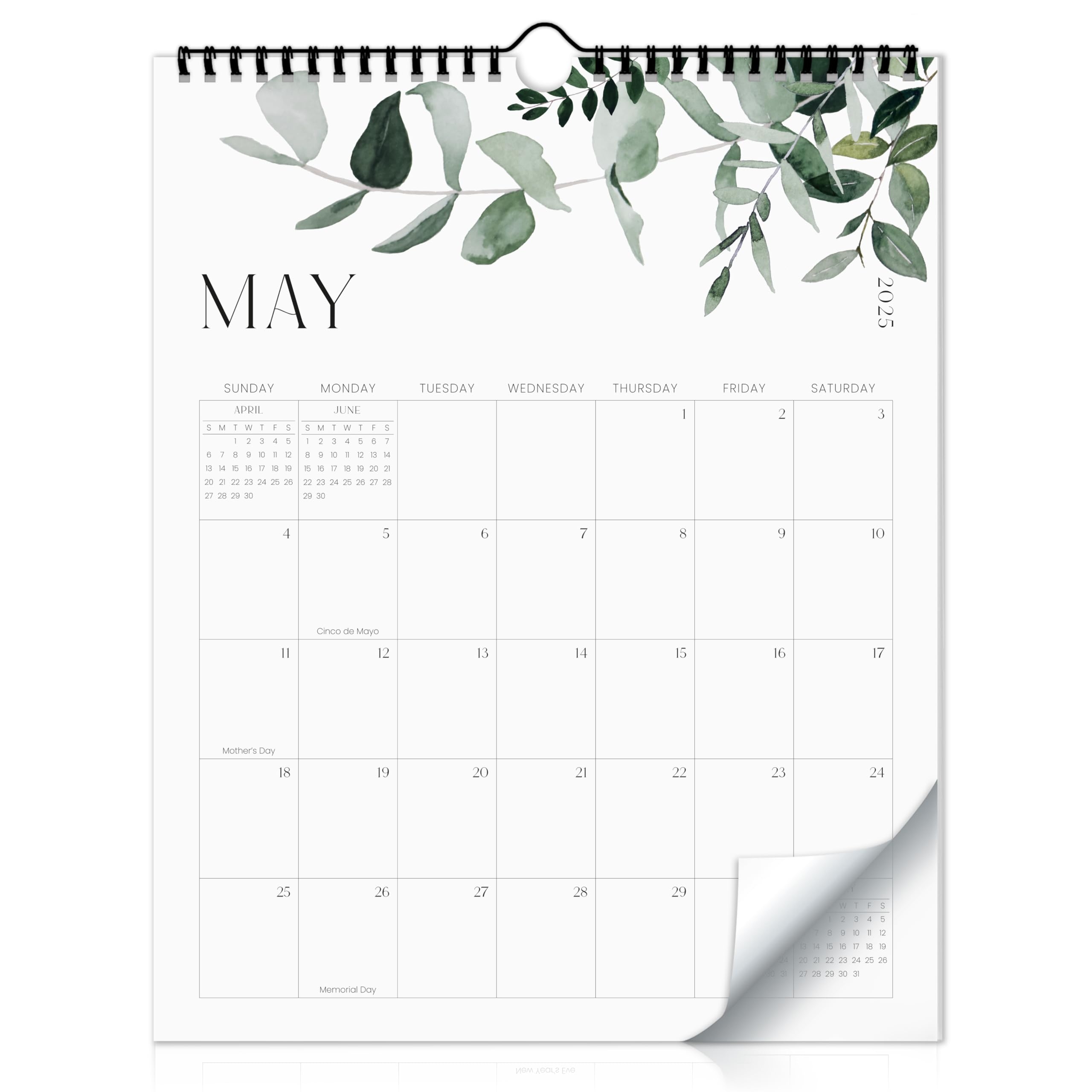 Aesthetic Wall Calendar 2025 2026 Runs From January 2025 To July 2026 The Perfect Modern Green Calendar For Easy Organization Amazon de Stationery U0026 Office Supplies