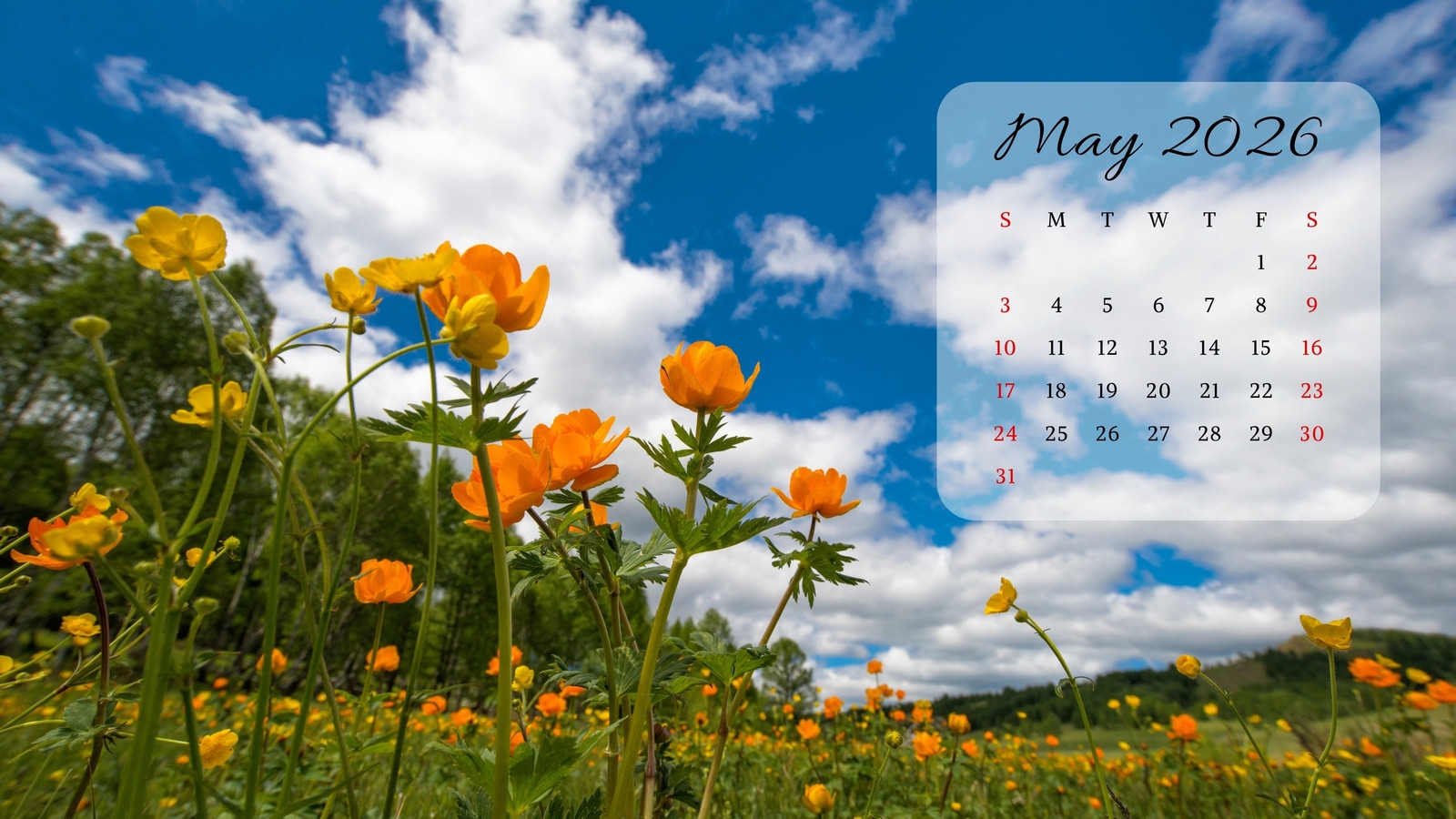 Page 12 Free And Customizable Nature Desktop Wallpaper Templates 